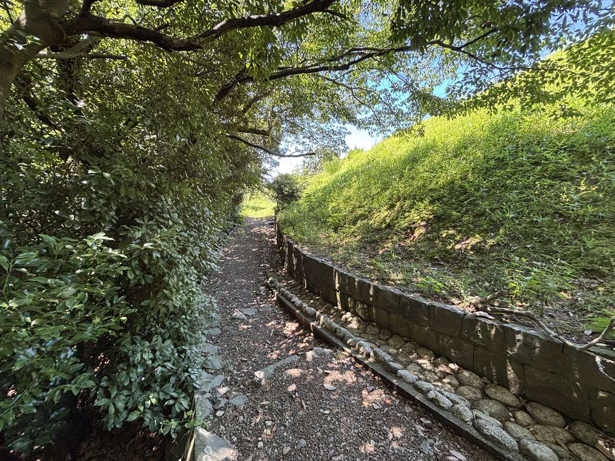 大谷古墳の歴史と見どころを徹底解説